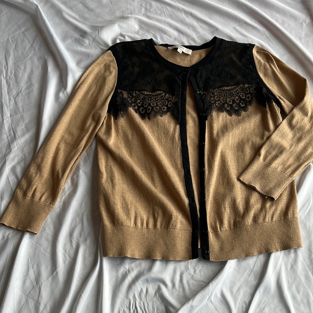 Loft Sweater with lace front